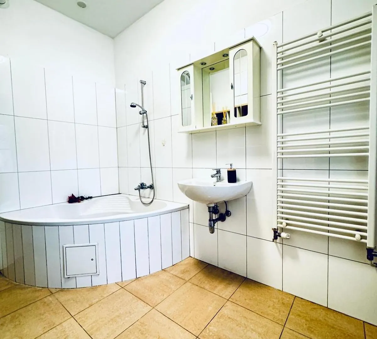 Affordable 1Br & 1Lr Apt, 7 Min To Westbahnhof Viyana Daire